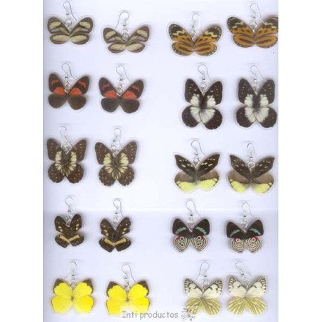 BO181DB Boucles ailes de papillons doubles